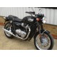 Triumph Bonneville T100